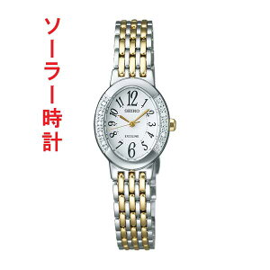 SEIKO ZCR[ \[[ p rv _C hXEHb` GNZ[k SWCQ051 ꍏΉL 񂹕iusw-kav