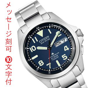 V`Y CITIZEN v}X^[ PROMASTER GRhCu \[[ dgv Y rv 20Ch AT6080-53L a v[g  O  10t 񂹕iuc-kav