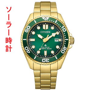 �V�`�Y�� CITIZEN �v���}�X�^�[ PROMASTER �\�[���[ ���v BN0262-59W �_�C�o�[�Y�E�I�b�` �����Y �r���v �O���[�� ������ ���񂹕i