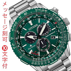   O  10t V`Y v}X^[ XJC CITIZEN PROMASTER SKY \[[dgv CB5004-59W O[ ΐF rv Y NmOt 񂹕iuc-kav