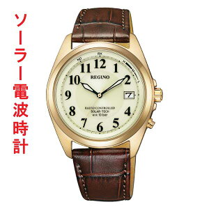 V`Y CITIZEN 10Ch \[[dgv REGUNO j Y rv I[ EH[S[hF߂ uE Fn J[t voh KS3-123-80  񂹕i