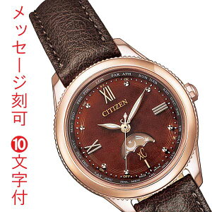 V`Y NXV[ GRhCu \[[dgv CITIZEN xC fB[X  rv EE1002-01W voh AbvU[  z T[ sNS[hF  O  10t 