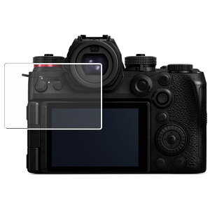 Panasonic LUMIX S1II S1IIE p dx 9H A`OA ^Cv t ی tB   KXtB Ɠ dx9H pi\jbN ~bNX