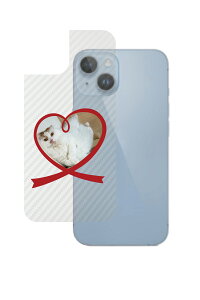 Apple iPhone 14 p J[{ 킢 lR vg wʕیtB [DN007]  Abv ACtH[ ˂ L Lbg