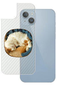 Apple iPhone 14 Plus p J[{ 킢 lR vg wʕیtB [DN006]  Abv ACtH[ vX ˂ L Lbg