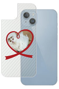 Apple iPhone 14 Plus p J[{ 킢 lR vg wʕیtB [DN007]  Abv ACtH[ vX ˂ L Lbg