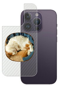 Apple iPhone 14 Pro p J[{ 킢 lR vg wʕیtB [DN006]  Abv ACtH[ v ˂ L Lbg