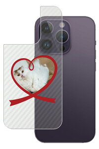 Apple iPhone 14 Pro p J[{ 킢 lR vg wʕیtB [DN007]  Abv ACtH[ v ˂ L Lbg