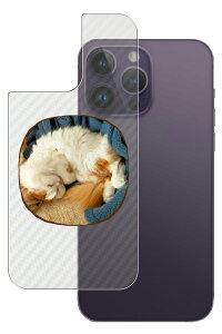 Apple iPhone 14 Pro Max p J[{ 킢 lR vg wʕیtB [DN006]  Abv ACtH[ v }bNX ˂ L Lbg