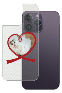 Apple iPhone 14 Pro Max p J[{ 킢 lR vg wʕیtB [DN007]  Abv ACtH[ v }bNX ˂ L Lbg