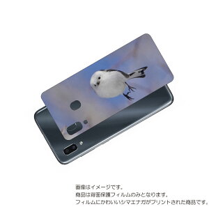 Galaxy A30 p w ی tB 킢 V}GiK  vg ( Photo by  )  SAMSUNG TX MNV[ G[T[eB