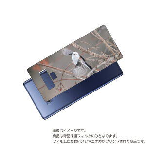 Galaxy Note9 ( SC-01L / SCV40 ) �p �w�� �ی� �t�B���� ���킢�� �V�}�G�i�K �� �v�����g ( Photo by ������ ) �� SAMSUNG �T���X�� �M�����N�V�[ �m�[�g �i�C�� ���܂��Ȃ�