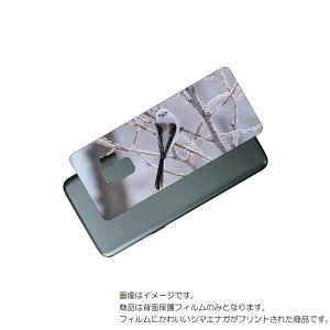 Galaxy S9 ( SC-02K / SCV38 ) p w ی tB 킢 V}GiK  vg ( Photo by  )  SAMSUNG TX MNV[ GXiC ܂Ȃ