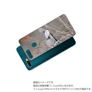 OPPO AX7 p w ی tB 킢 V}GiK  vg ( Photo by  )  Ib| G[GbNX Zu ܂Ȃ