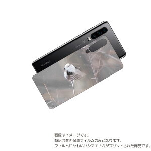 HUAWEI P30 �p �w�� �ی� �t�B���� ���킢�� �V�}�G�i�K �� �v�����g ( Photo by ������ ) �� �t�@�[�E�F�C �s�[ �T�[�e�B ���܂��Ȃ�
