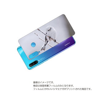 HUAWEI P30 lite p w ی tB 킢 V}GiK  vg ( Photo by  )  t@[EFC s[ T[eB Cg ܂Ȃ