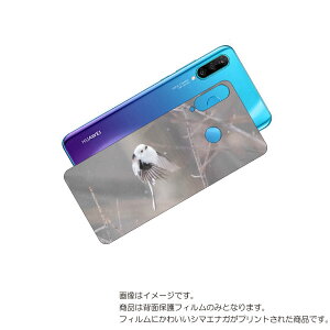 HUAWEI P30 lite p w ی tB 킢 V}GiK  vg ( Photo by  )  t@[EFC s[ T[eB Cg ܂Ȃ