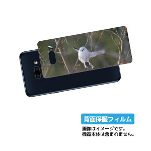 LG G8X ThinQ 901LG �p �w�� �ی� �t�B���� ���킢�� �V�}�G�i�K �� �v�����g ( Photo by ������ ) �� �G���W�[ �W�[�G�C�g�G�b�N�X �e�B���L���[ ���܂��Ȃ�