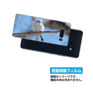 LG G8X ThinQ 901LG �p �w�� �ی� �t�B���� ���킢�� �V�}�G�i�K �� �v�����g ( Photo by ������ ) �� �G���W�[ �W�[�G�C�g�G�b�N�X �e�B���L���[ ���܂��Ȃ�