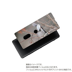 SONY Xperia XZ3 p w ی tB 킢 V}GiK  vg ( Photo by  )  \j[ GNXyA GbNX[bg X[ ܂Ȃ