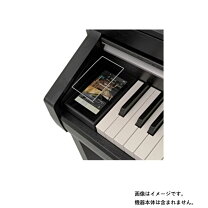 楽天市場】kawai ca67の通販