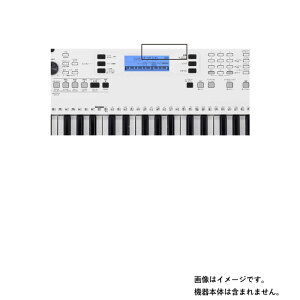 YAMAHA EZ300 py dx u[CgJbg NA zt ی tB ɋĖڂɗDI 