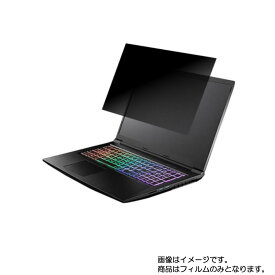 サードウェーブ GALLERIA GN50G165D7 2019年11月モデル 用 [N40]【 4way のぞき見防止 プライバシー保護 】画面に貼る液晶 保護 フィルム ★ THIRDWAVE ガレリア
