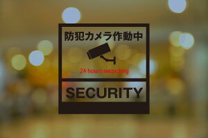 KXp TC tBy hƃJ 24 hours recording SECURITY zu\^Cvv PETf 135mm x 135mm lp hƃXebJ[ hƃV[ hƃJ쓮 hƃJXebJ[ ĎJ