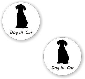 [2Zbg][ DOG IN CAR ]  TC V[ XebJ[ |f a 100mm 0.08mm ی` hbOCJ[ Dog In Car XebJ[ J[TC Z[teBXebJ[  Ck hbO Ă܂ J[