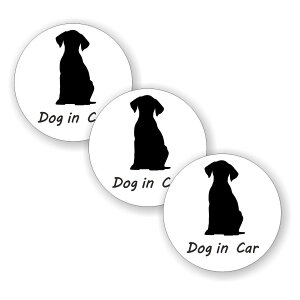 [3Zbg][ DOG IN CAR ]  TC V[ XebJ[ |f a 100mm 0.08mm ی` hbOCJ[ Dog In Car XebJ[ J[TC Z[teBXebJ[  Ck hbO Ă܂ J[