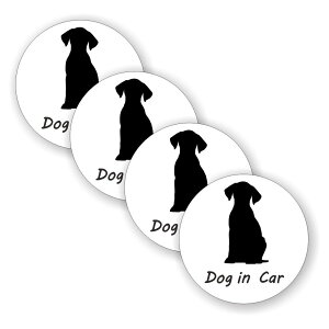 [4Zbg][ DOG IN CAR ]  TC V[ XebJ[ |f a 100mm 0.08mm ی` hbOCJ[ Dog In Car XebJ[ J[TC Z[teBXebJ[  Ck hbO Ă܂ J[