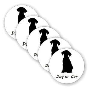 [5Zbg][ DOG IN CAR ]  TC V[ XebJ[ |f a 100mm 0.08mm ی` hbOCJ[ Dog In Car XebJ[ J[TC Z[teBXebJ[  Ck hbO Ă܂ J[
