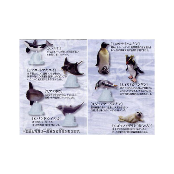 楽天市場】地球生命紀行 カプセルコレクション「ペンギン＆水族館の 