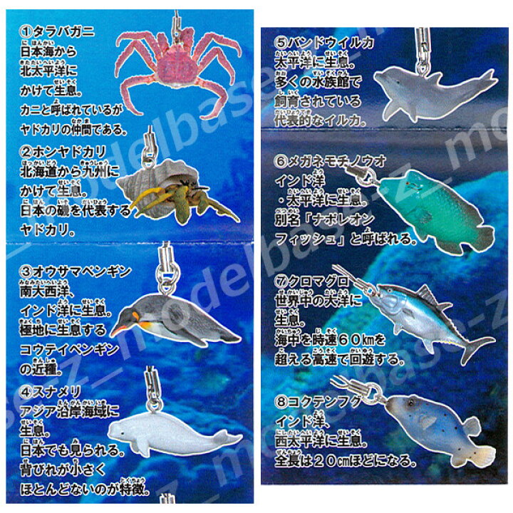 楽天市場 地球生命紀行甲殻類と海の仲間たちストラップ 全８種エポック社イルカ ペンギン ヤドカリ フグ スナメリ マグロ カニカプセルコレクションガチャポン ガシャポン ガチャガチャ モデルベースｚ