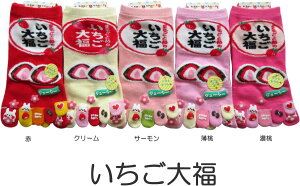 5{w\bNX fB[X 납킢ܖ{wC 啟 \bNX