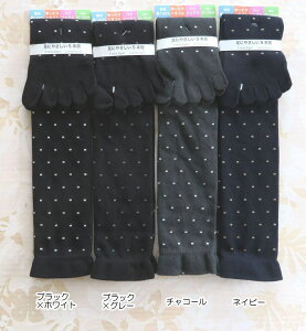 5{wnC\bNX fB[X hbg S ܖ{wC 21a