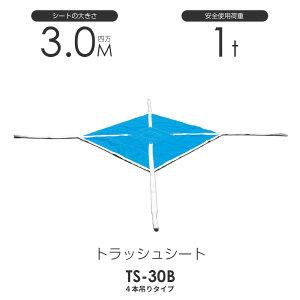 gbVV[gbRi4{݂^Cvj300cm×300cm gp׏d1.0t yʃbR