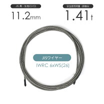 楽天市場】iwrc 6 29の通販