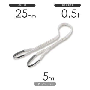 wipxgXO PPV[Y [AC`iE^j25mm×5m gp׏d:0.5t ۑPD