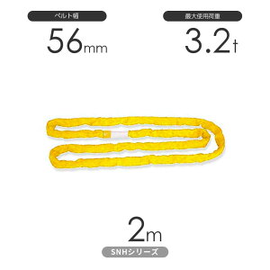 ���Y�\�t�g�X�����OSN-H�V���[�Y�i�D���^�C�v�j �G���h���X�`�iN�^�j3.2t×2m �ۑP�D��
