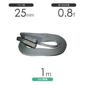 国産ポリエステルスリング AYスリング 両端アイ形（E型）幅25mm×1m 使用荷重:0.8t 灰色 ベルトスリング