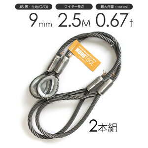 ʊ|C[[v 2{g ЃVuEЃAC (O/O) 9mmx2.5m JISC[[v