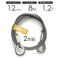 楽天市場】玉掛けワイヤー 8mの通販