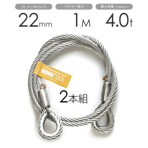 �ʊ|�����C���[ 2�{�g ���V���u�� ���b�L 22mmx1m