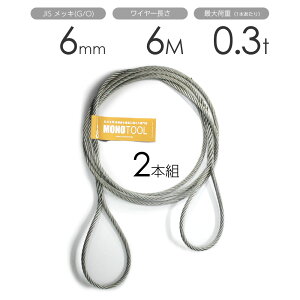 ҂ݍ݃C[ JISbL(G/O) 6mmi2jx6m ʊ|C[[v 2{g t~bV ʊ|C[ / ʊ|C[[v C[v ʊ|C[ [҂ݍ ACXvCXH 