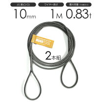 楽天市場】ワイヤー ロープ 10mmの通販