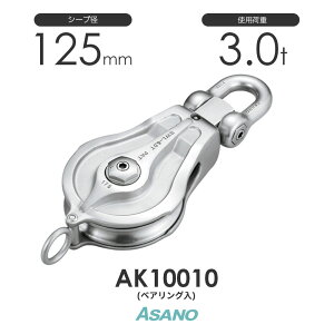 AK10010 ̓ubNPB^(xAO) H ASANO XeX