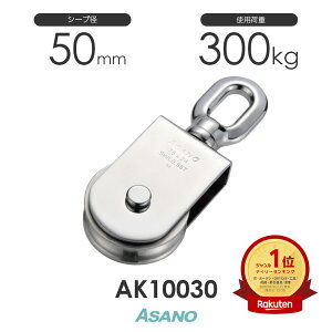 AK10030 T}ubN(XeXV[u)(50mm×1) H ASANO XeX