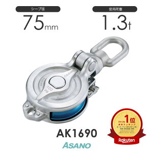 AK1690 _}ubNPB^(xAO) VV[u^Cv H ASANO XeX