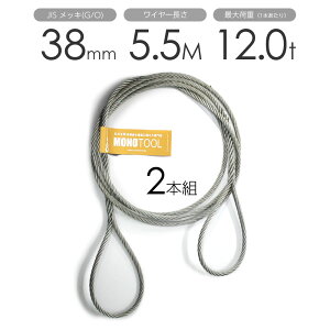 ҂ݍ݃C[ JISbL(G/O) 38mmi12.5jx5.5m ʊ|C[[v 2{g t~bV ʊ|C[ / ʊ|C[[v C[v ʊ|C[ [҂ݍ ACXvCX